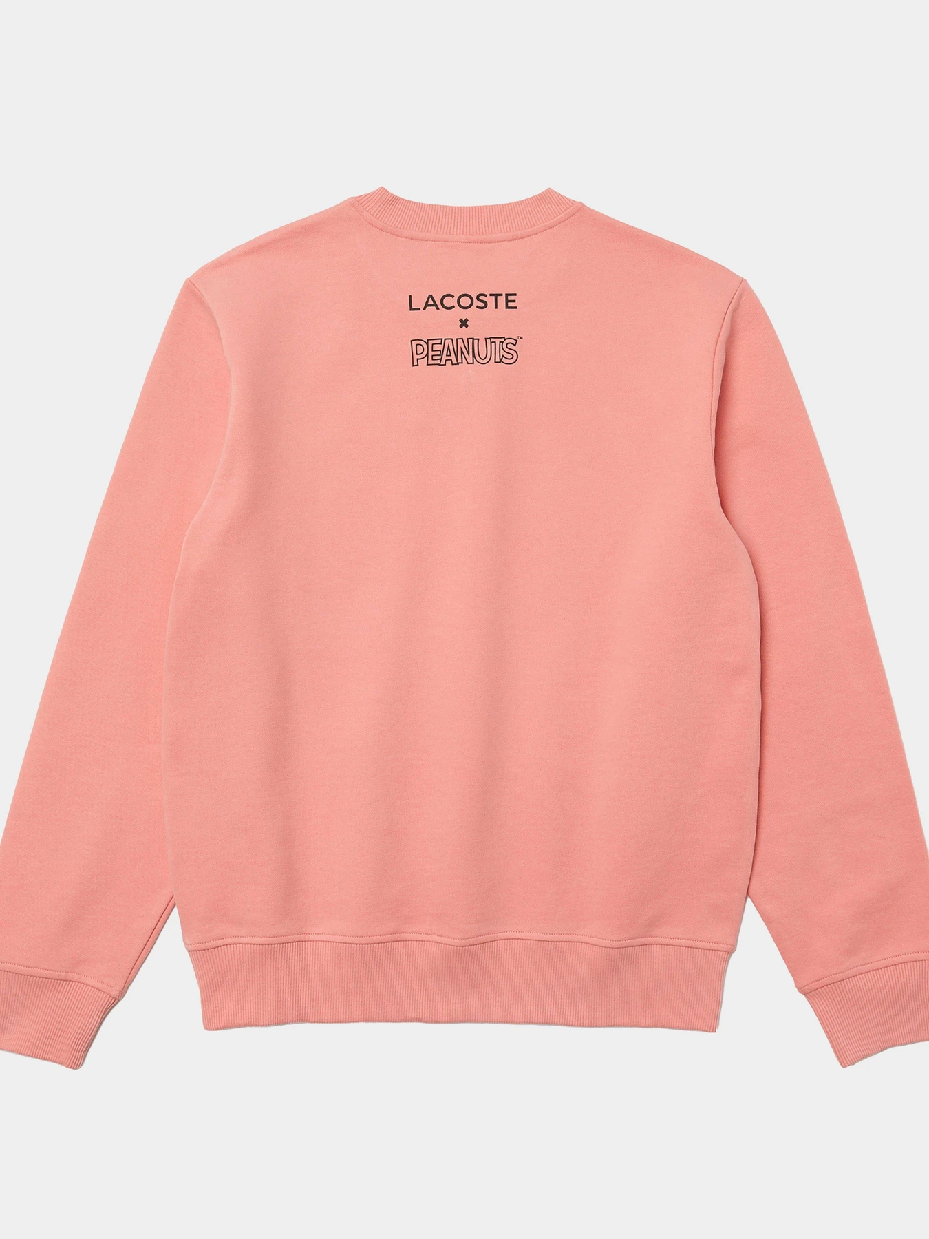 Худі та світшоти Lacoste модель SH77655MM Фото
