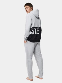 Худи и свитшоты Lacoste модель SH8024EJ7 Фото