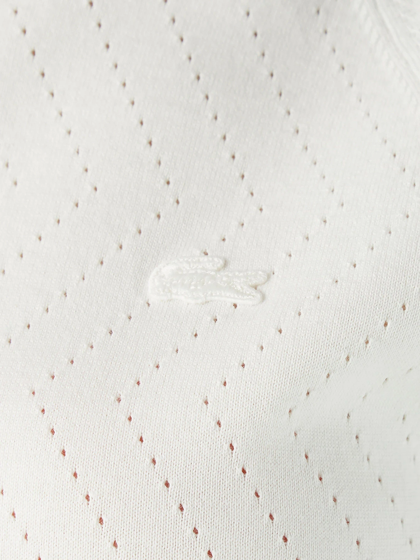 Футболки и поло Lacoste модель AF020202B Футболки и поло Lacoste модель AF020202B Фото
