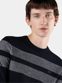 Свитры и кардиганы Lacoste модель AH224848L Фото