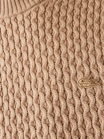 Свитры и кардиганы Lacoste модель AH6799GE2 Фото