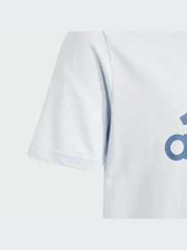 Футболки и поло Adidas модель IS2580 Фото
