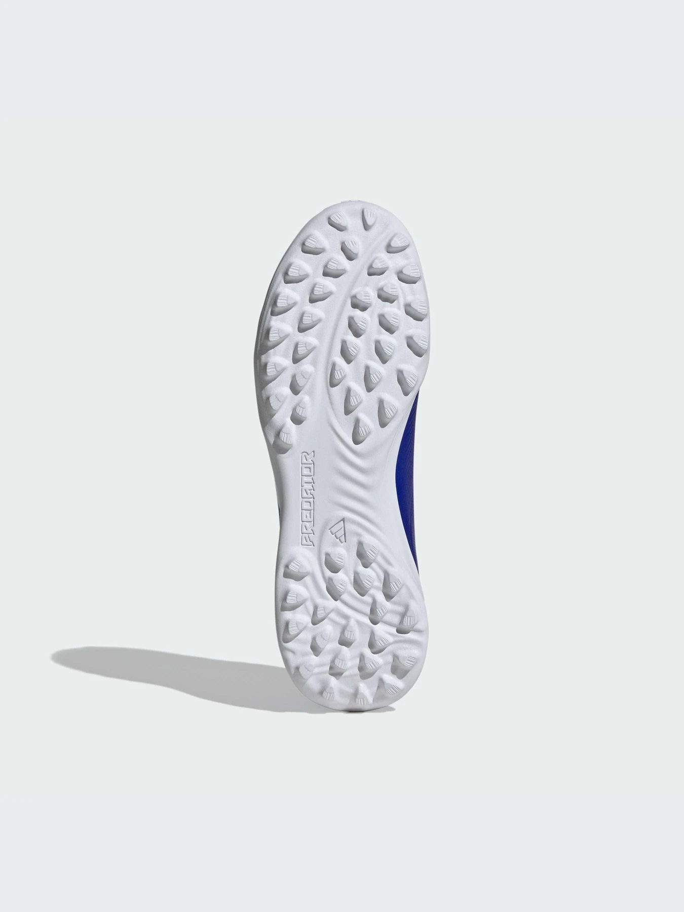 Кросівки Adidas Predator модель IF6413 Кросівки Adidas Predator модель IF6413 Фото
