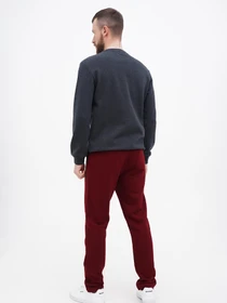 Штани US Polo модель USPA.1274254.VR014 Фото
