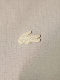 Худі та світшоти Lacoste модель CF020202K Фото