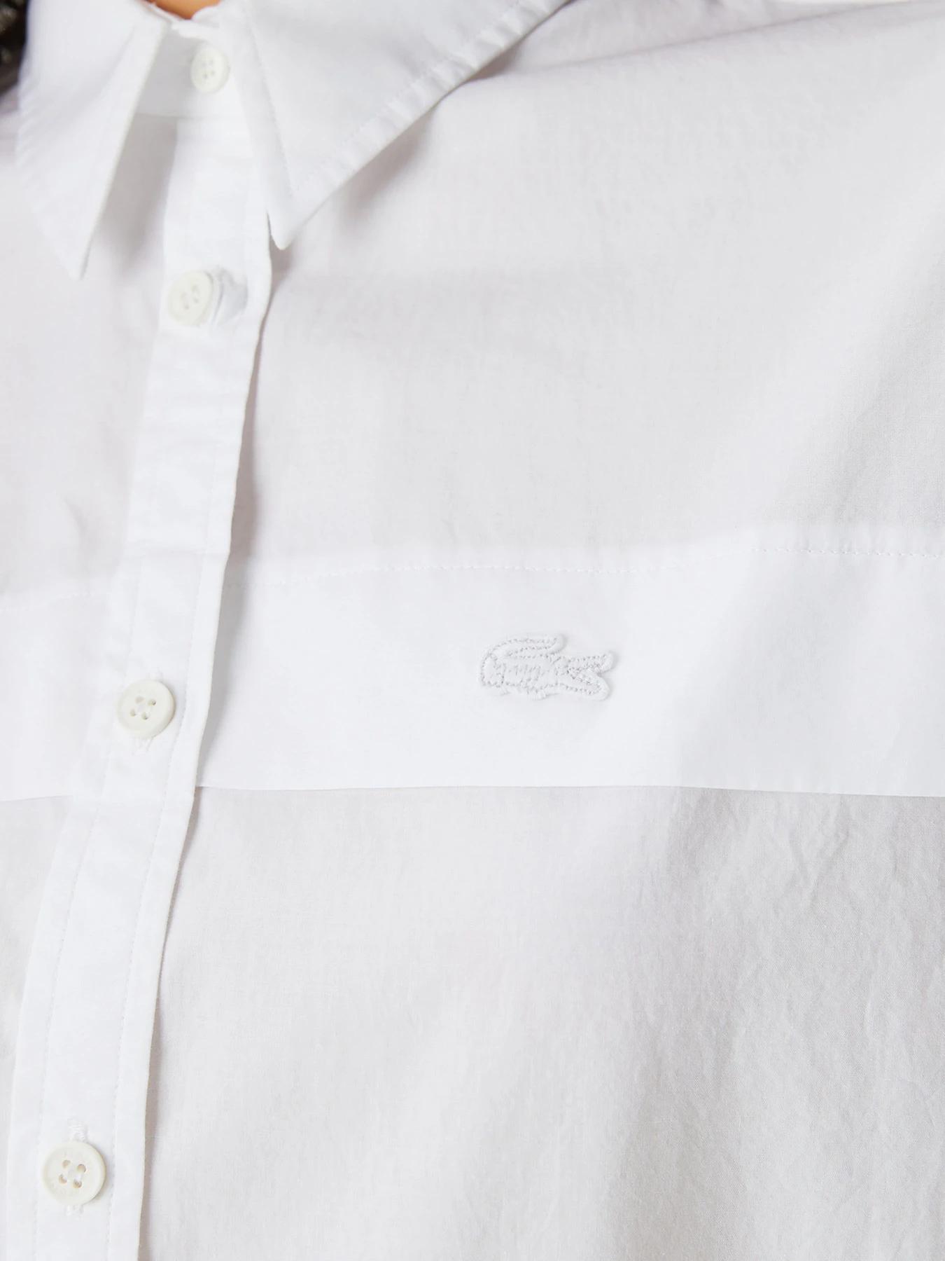 Сорочки Lacoste модель CF0405001 Сорочки Lacoste модель CF0405001 Фото