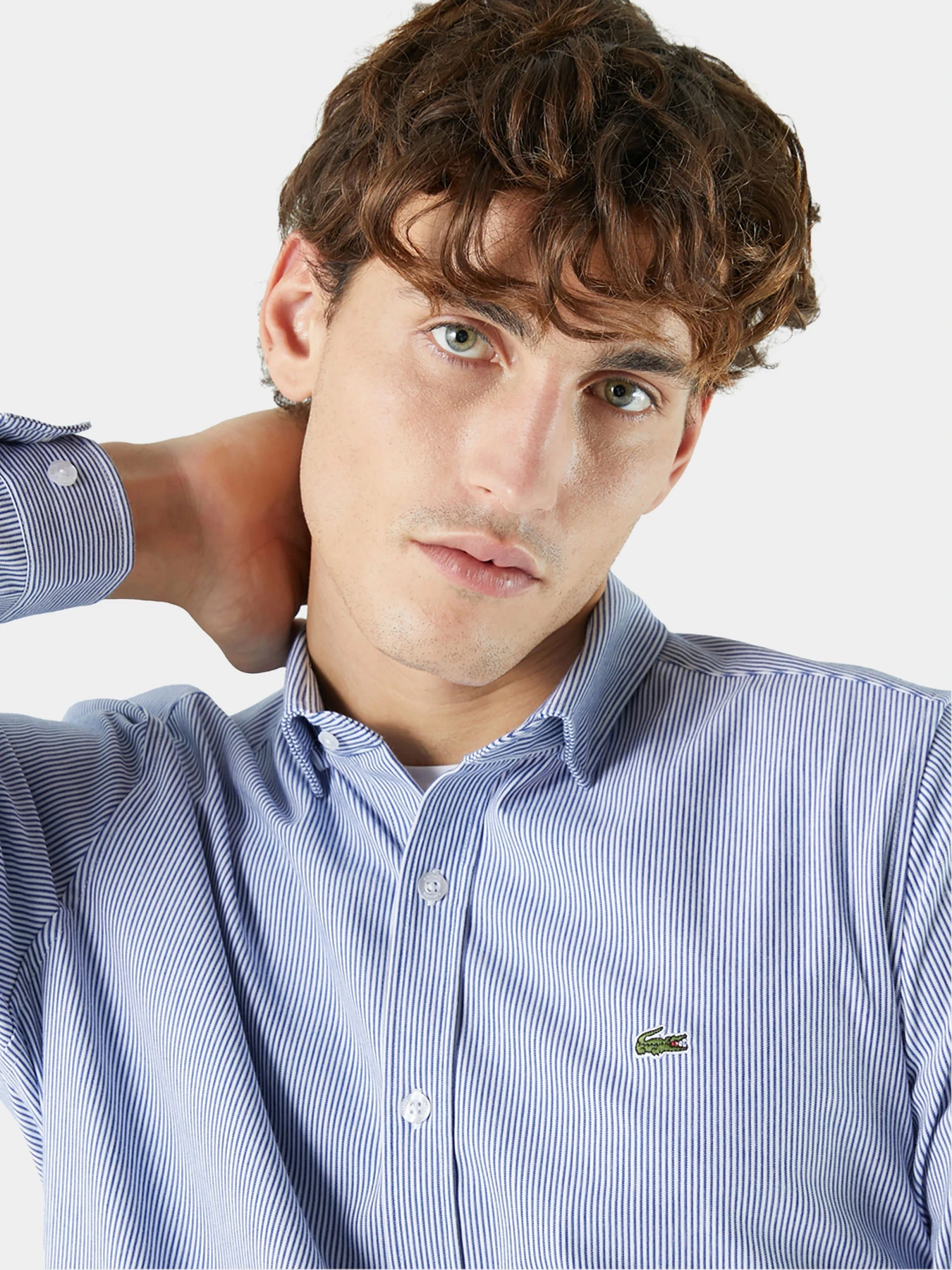 Рубашки Lacoste модель CH223030F Фото