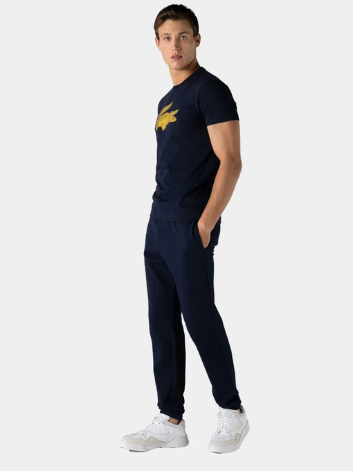 Бавовняні Чоловічі Спортивні штани Lacoste фото 2