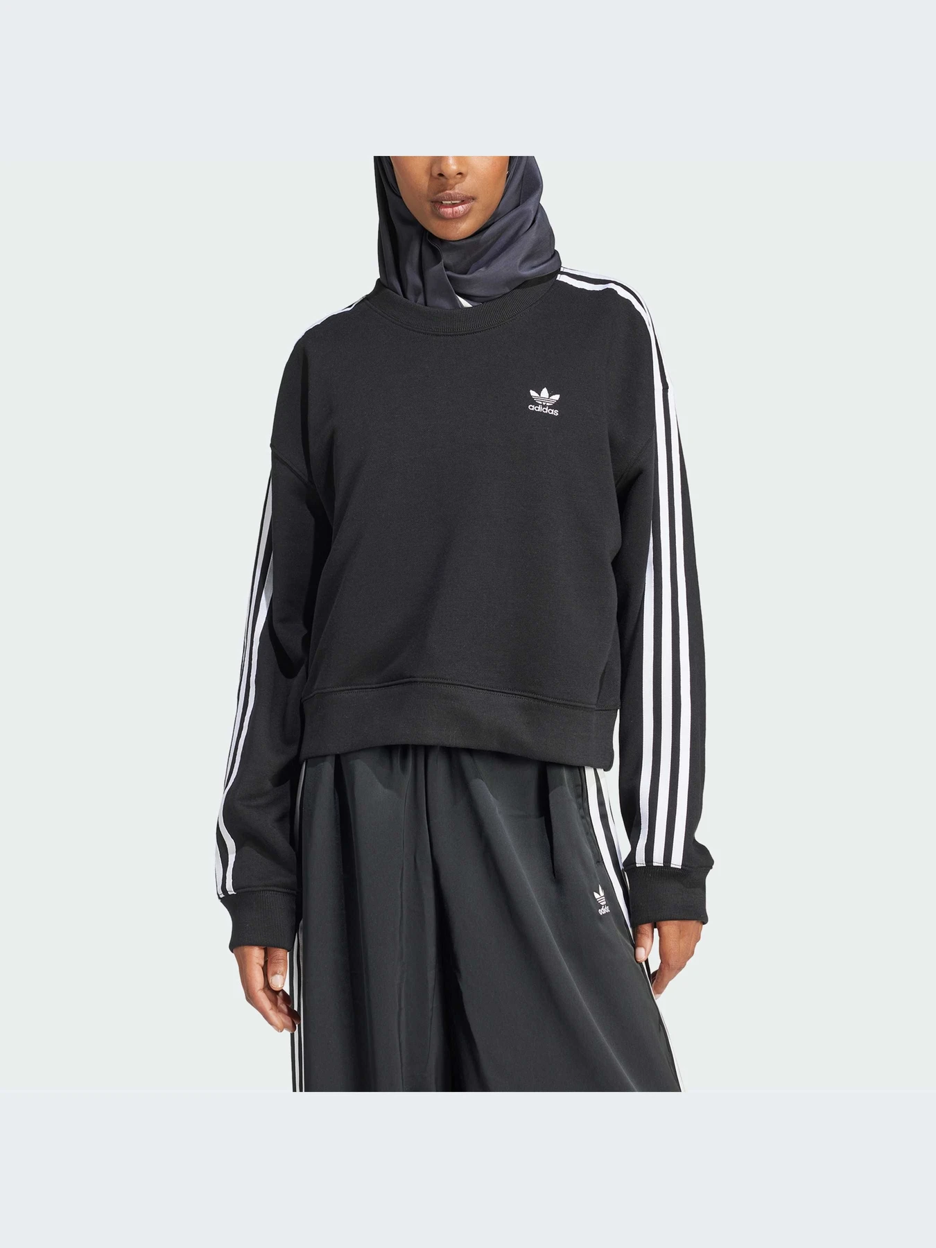 Худи и свитшоты Adidas Adicolor модель IR5522 Худи и свитшоты Adidas Adicolor модель IR5522 Фото