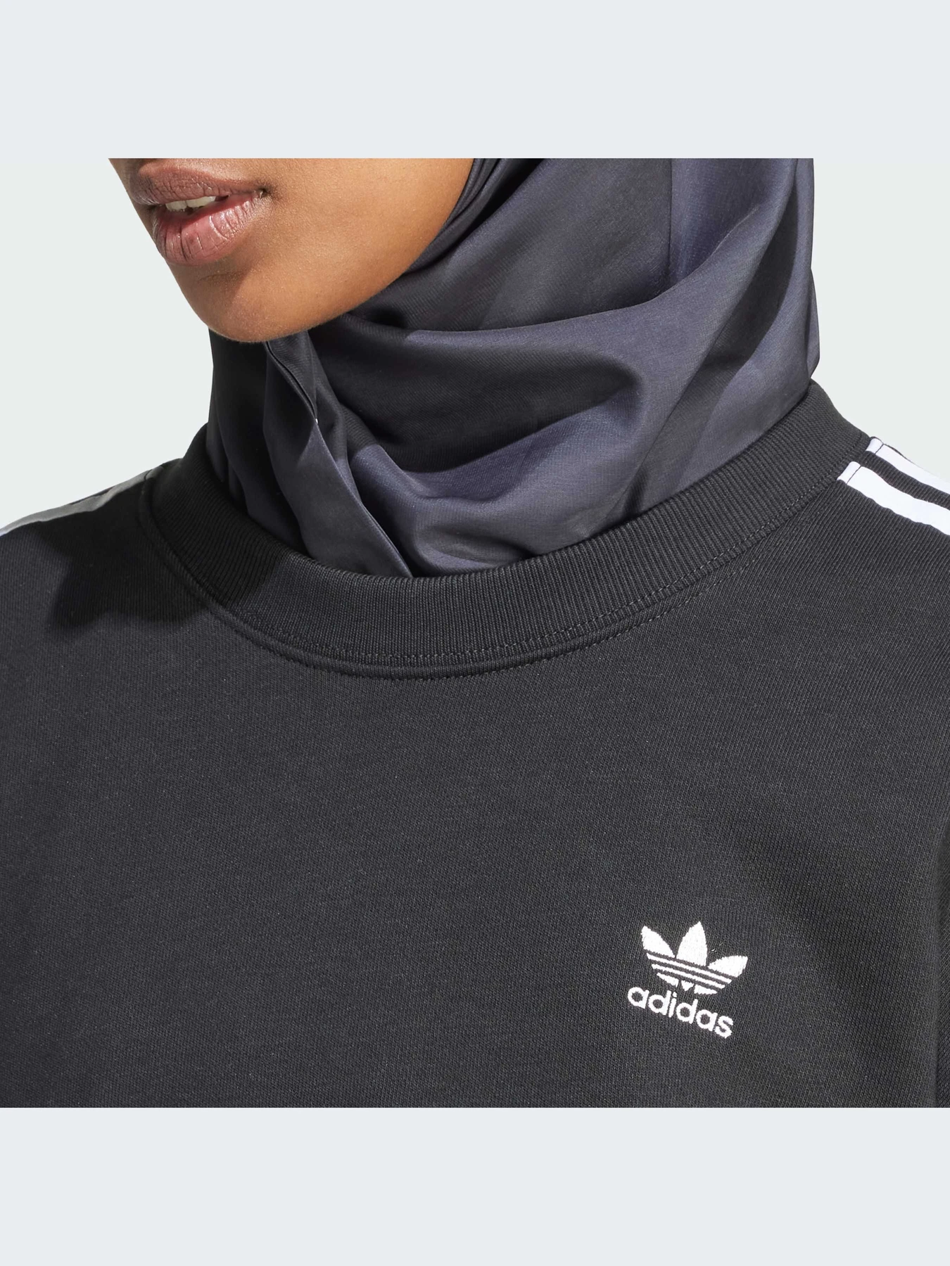 Худи и свитшоты Adidas Adicolor модель IR5522 Худи и свитшоты Adidas Adicolor модель IR5522 Фото