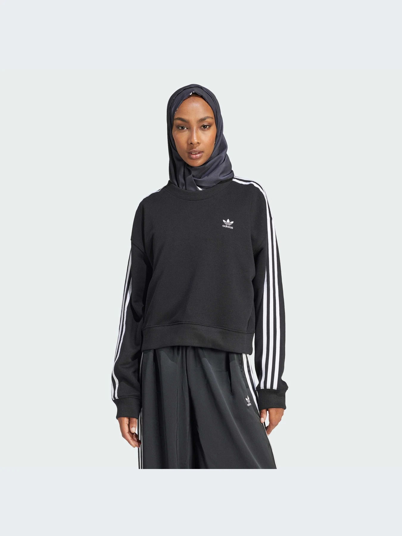 Худи и свитшоты Adidas Adicolor модель IR5522 Худи и свитшоты Adidas Adicolor модель IR5522 Фото