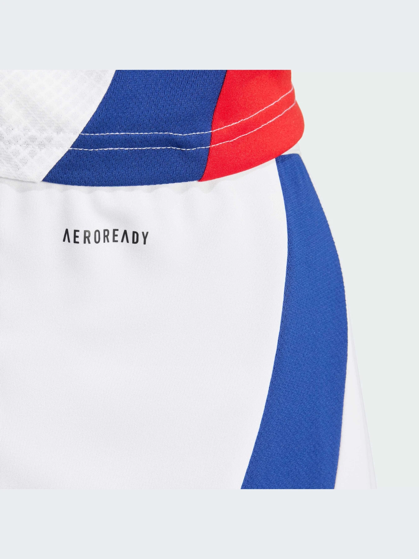 Шорты Adidas модель IT6139 Фото