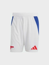 Шорты Adidas модель IT6139 Фото