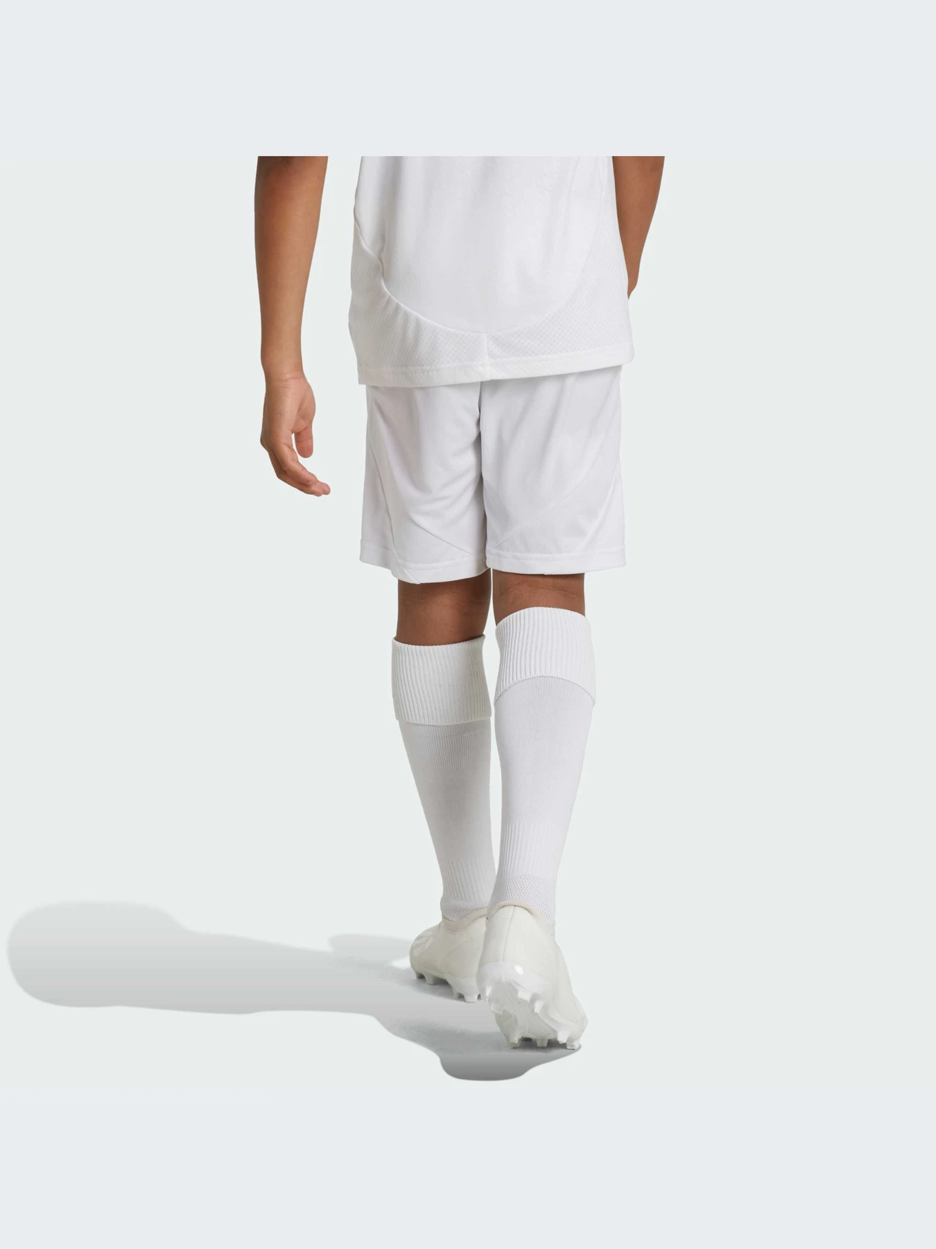 Шорты Adidas модель IT5176 Фото