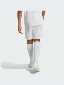 Шорты Adidas модель IT5176 Фото