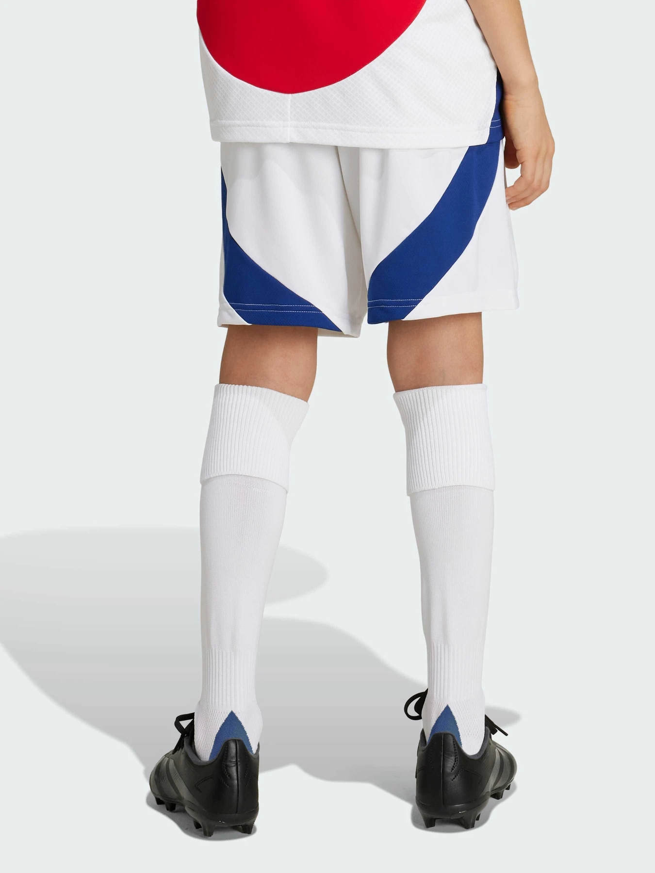 Шорты Adidas модель IS8136 Шорты Adidas модель IS8136 Фото