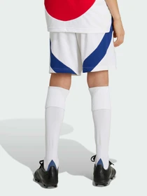 Шорты Adidas модель IS8136 Фото