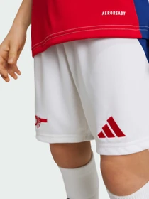 Шорты Adidas модель IS8136 Фото