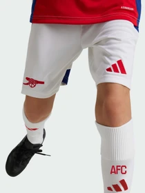 Шорты Adidas модель IS8136 Фото