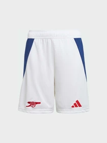 Шорты Adidas модель IS8136 Фото