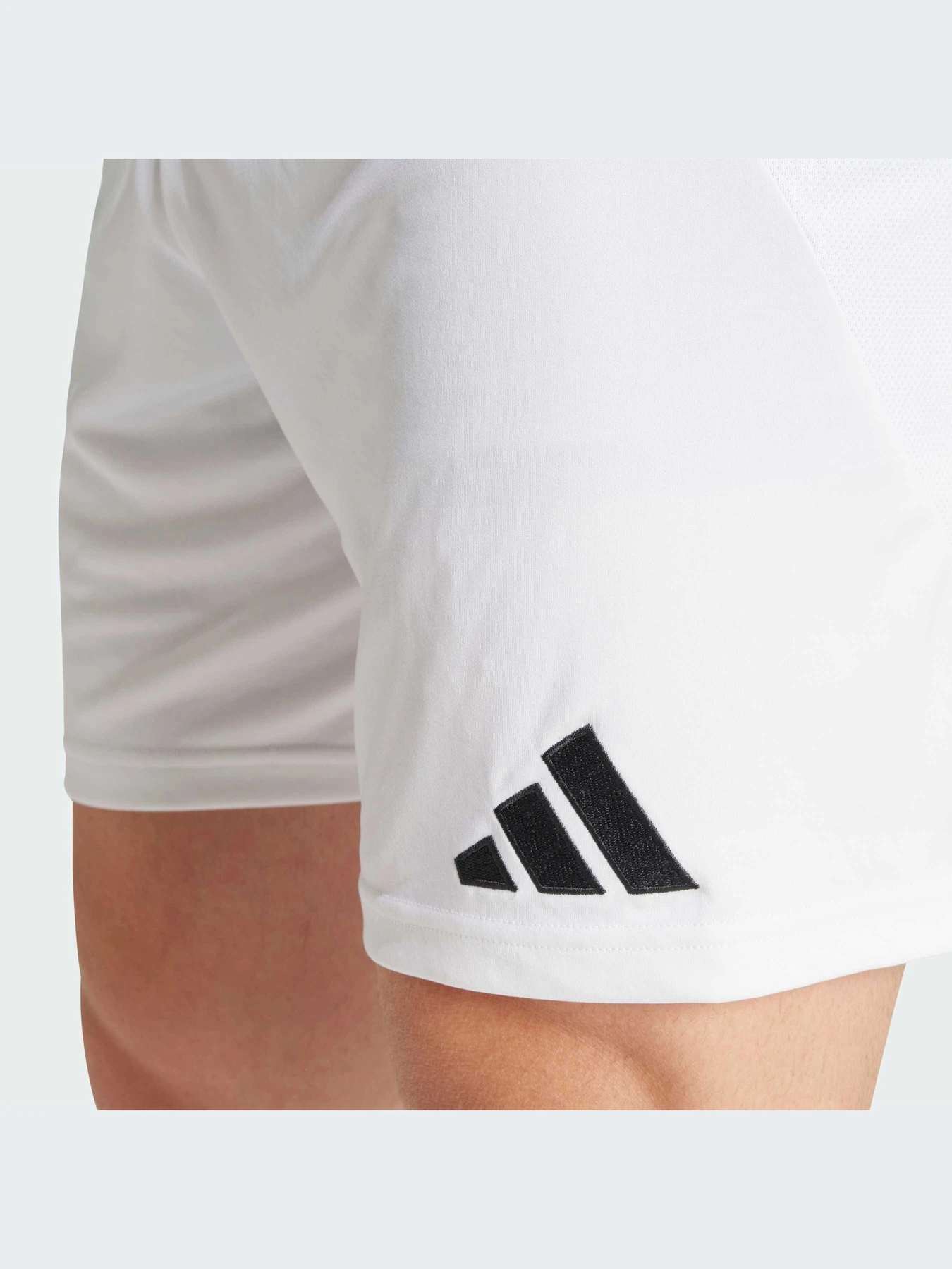 Шорты Adidas модель IU5008 Фото