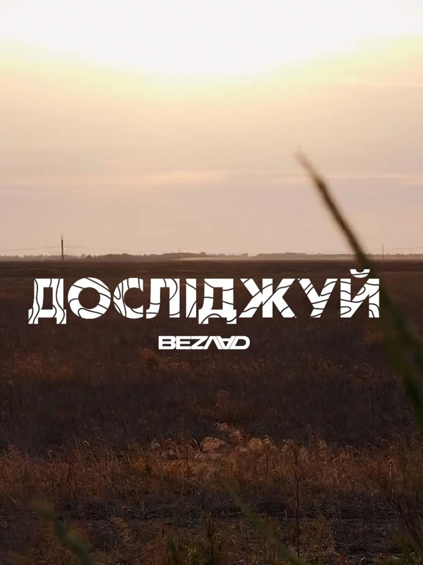 Футболки і поло Bezlad Таврія модель futbolka-doslidzhuy-tavriya-chorna Фото