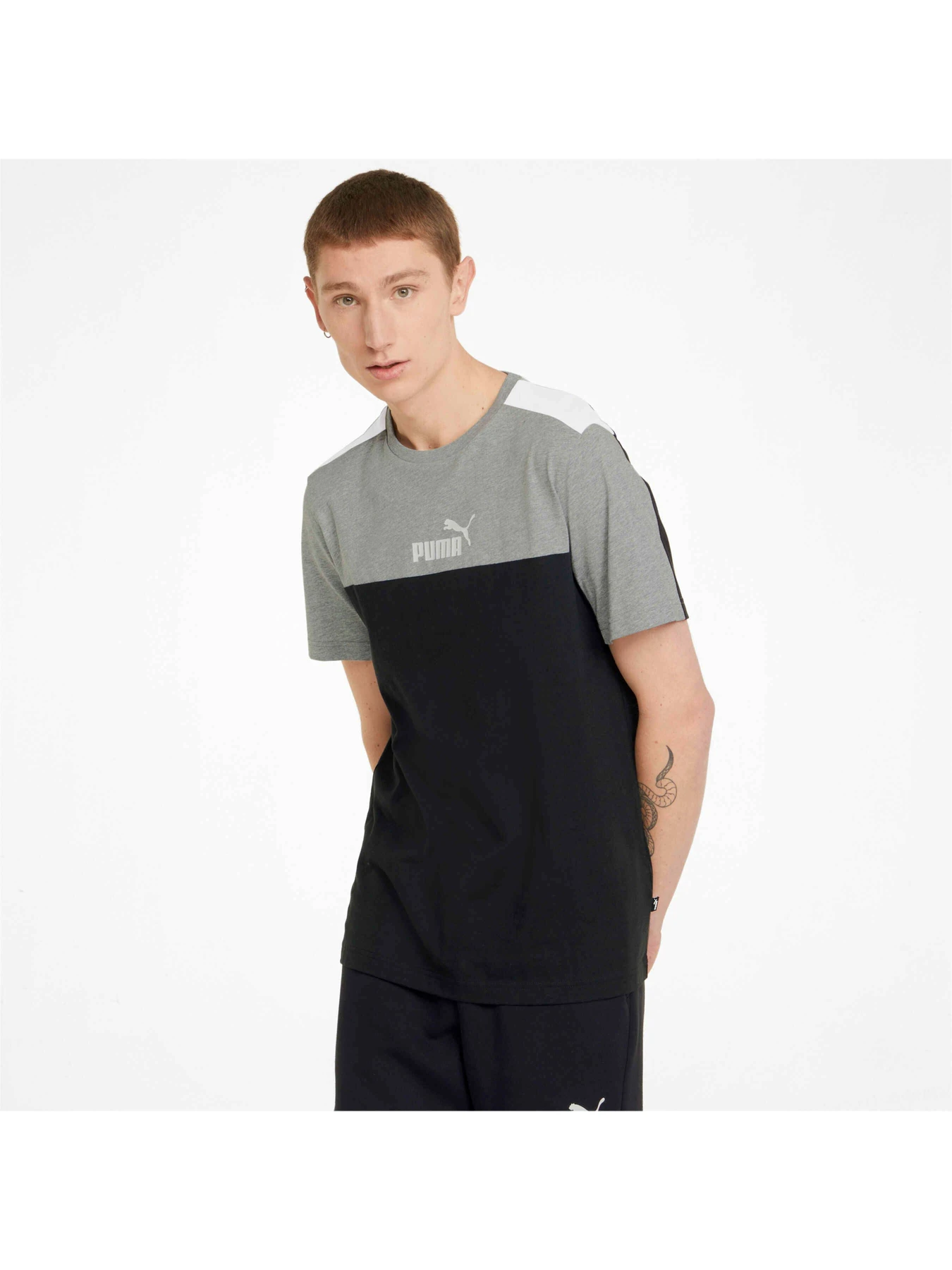 Футболки и поло PUMA Ess+ Block Tee модель 847426 Футболки и поло PUMA Ess+ Block Tee модель 847426 Фото