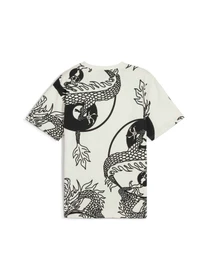 Футболки и поло PUMA x Staple Aop Tee модель 625097 Фото