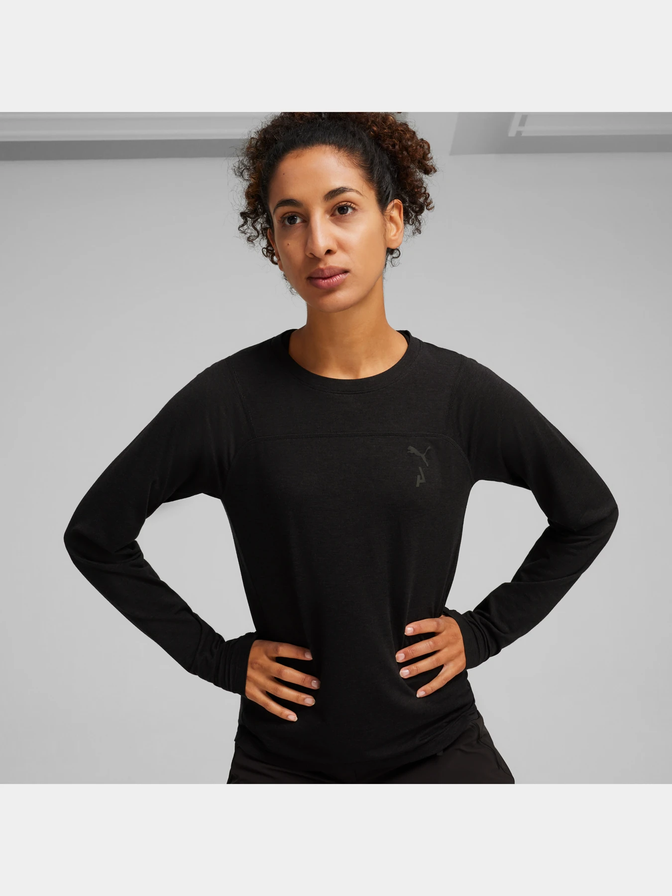 Кофта SEASONS Long Sleeve Women's Shirt W Seasons Wool Tee Ls модель 524972 Фото