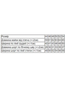 Одежда для дома и сна Носи своє модель 8639-002-33-abstrakcq-malina-mentol Фото