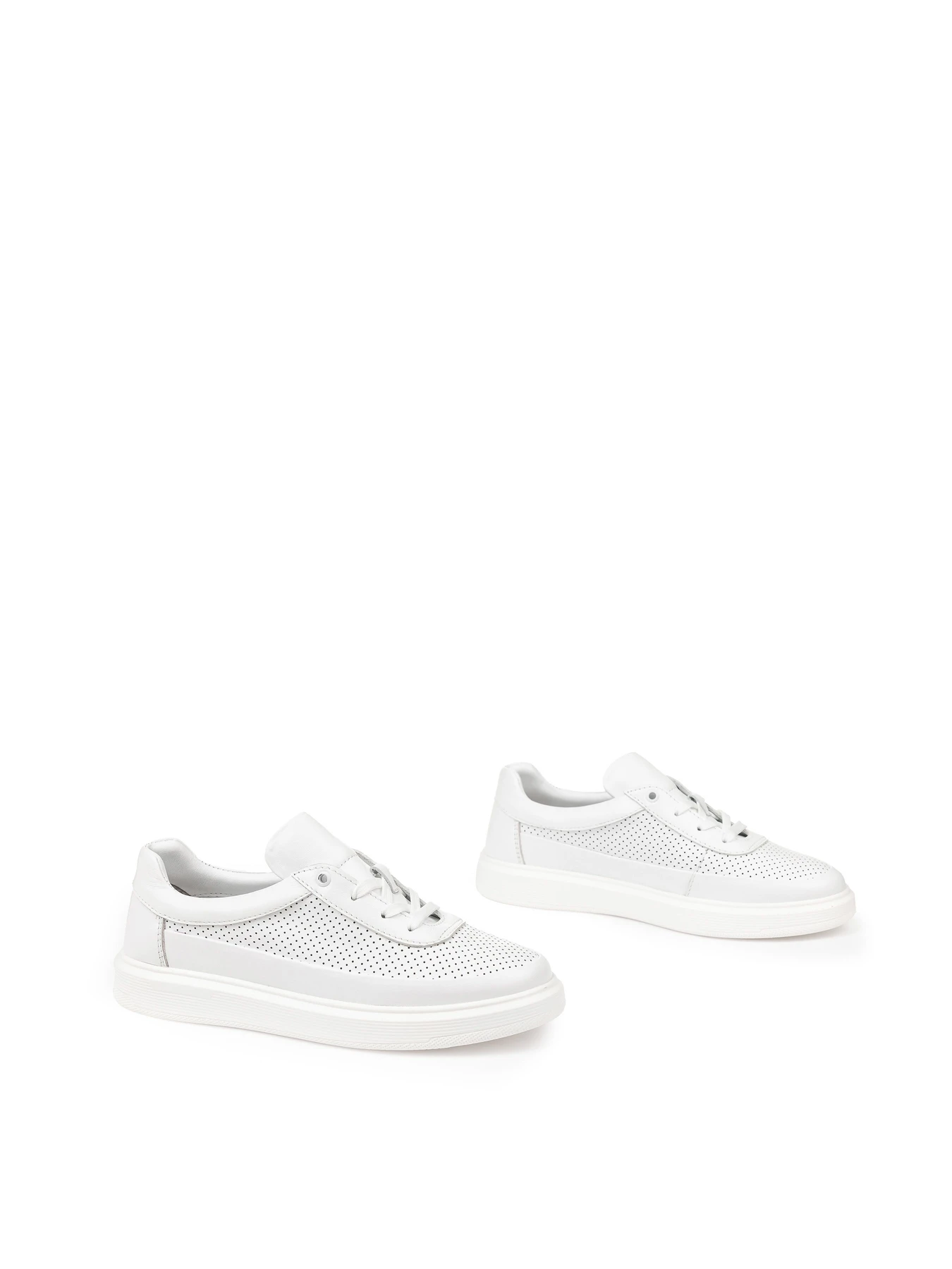 Кеди Alex Bell модель 1172339 Кеди Alex Bell модель 1172339 Фото