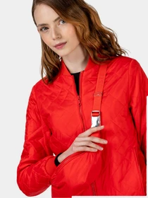 Куртки та дублянки Lacoste модель BF010707K Фото