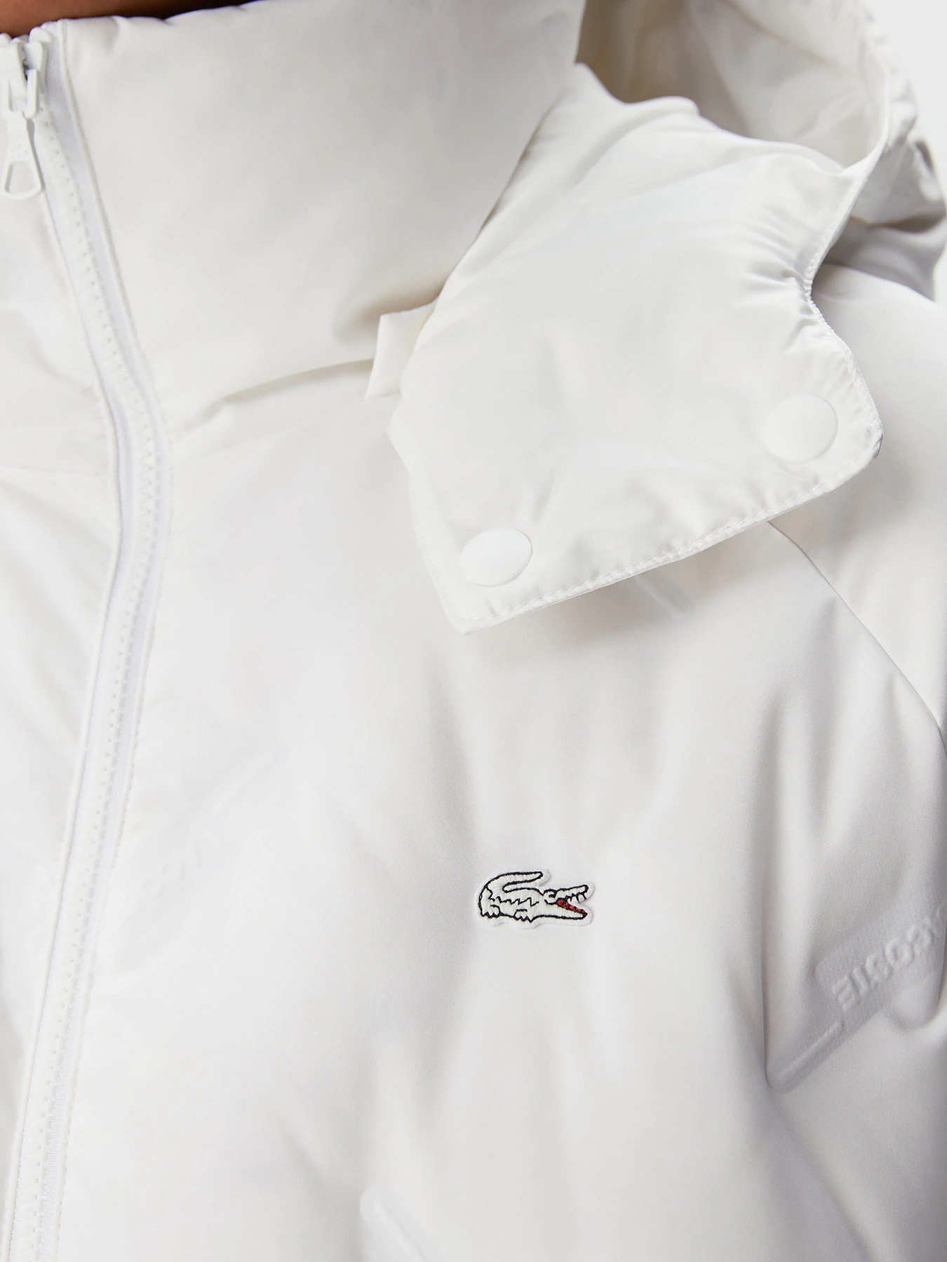 Куртки и дубленки Lacoste модель BF2175R75B Фото