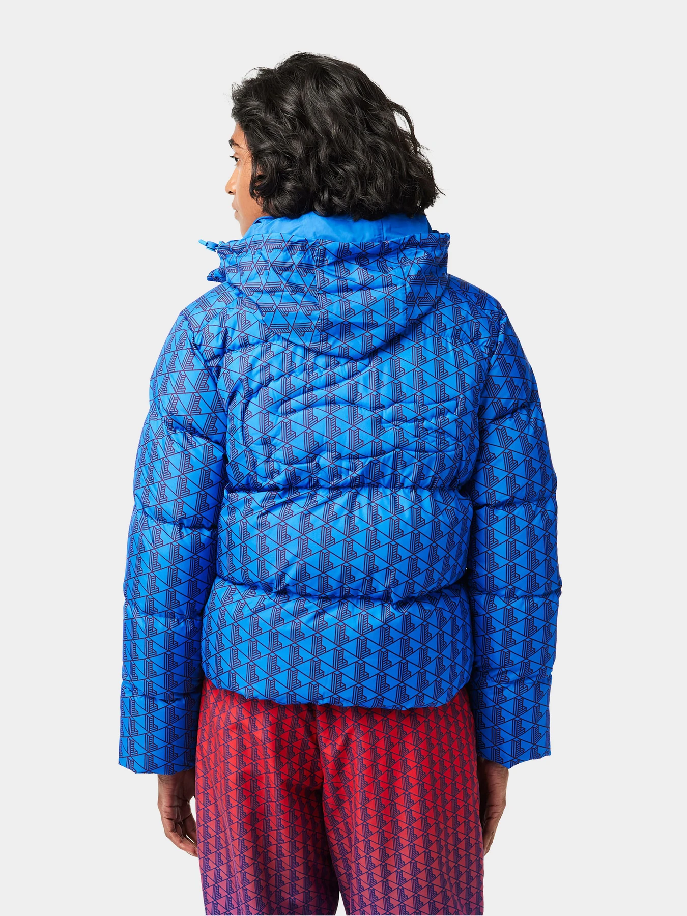 Куртки та дублянки Lacoste модель BF3485NJI Фото
