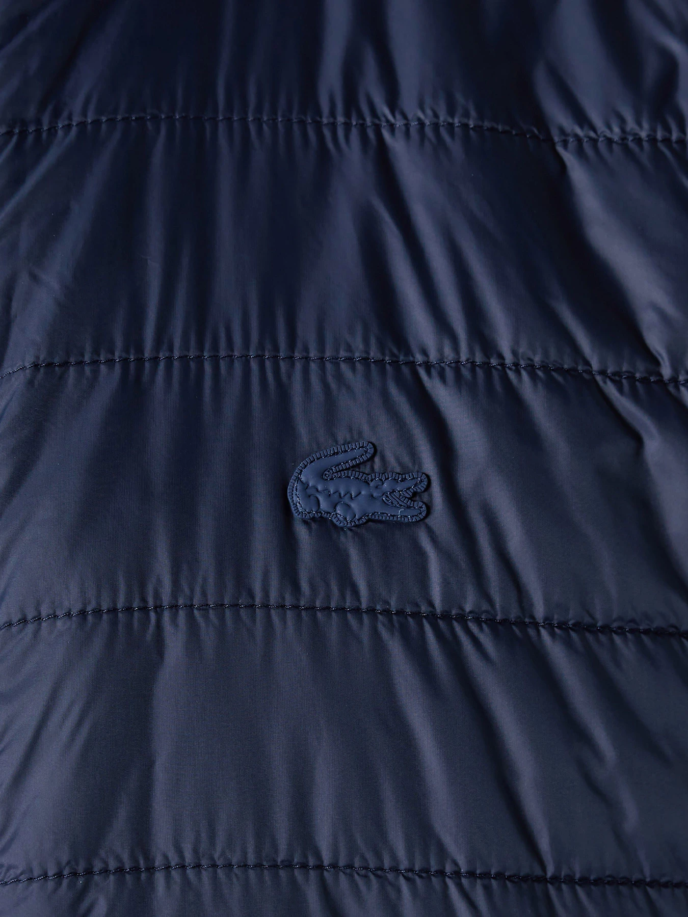 Куртки та дублянки Lacoste модель BH021616L Фото