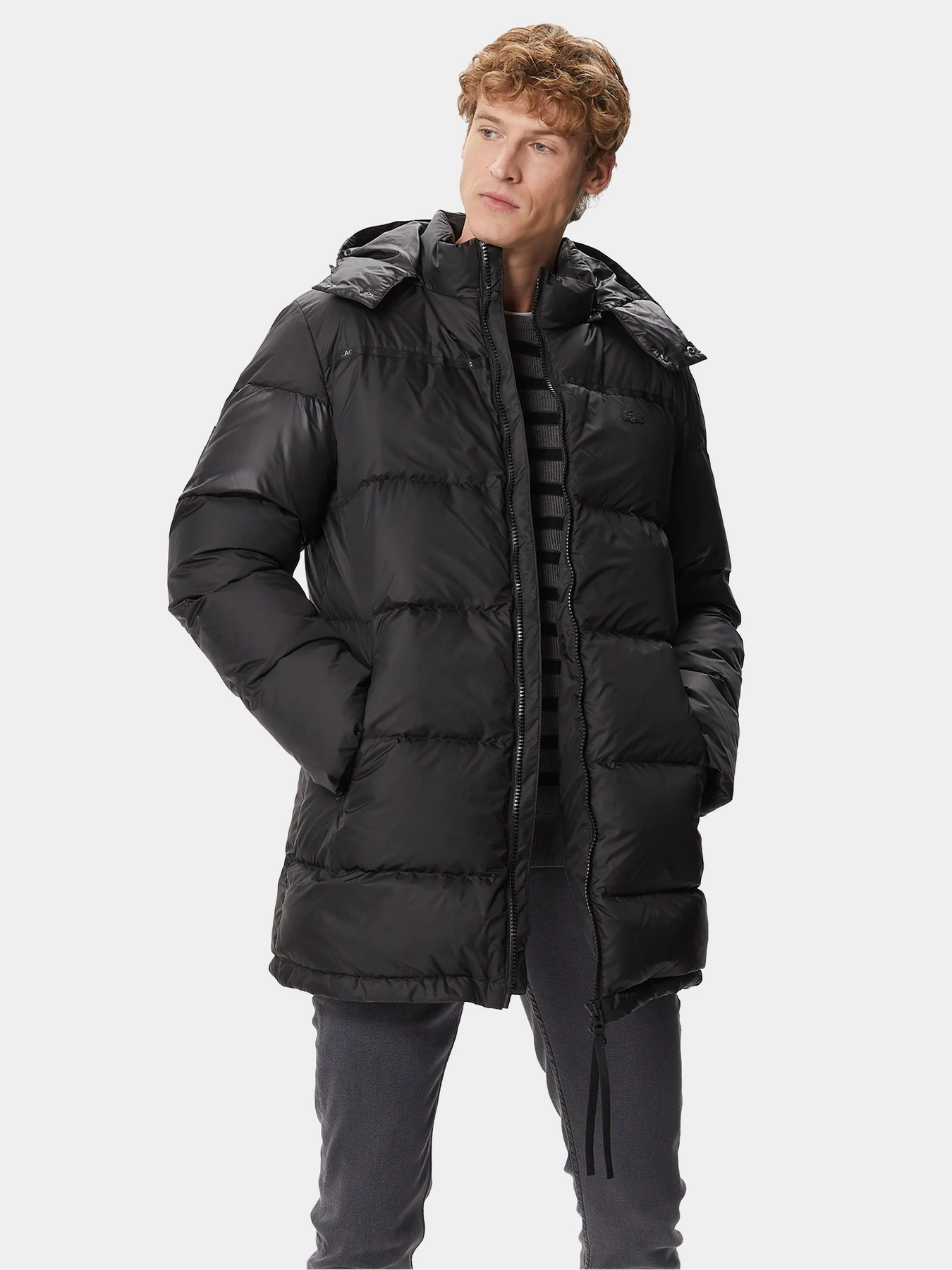 Куртки та дублянки Lacoste модель BH230606S Фото