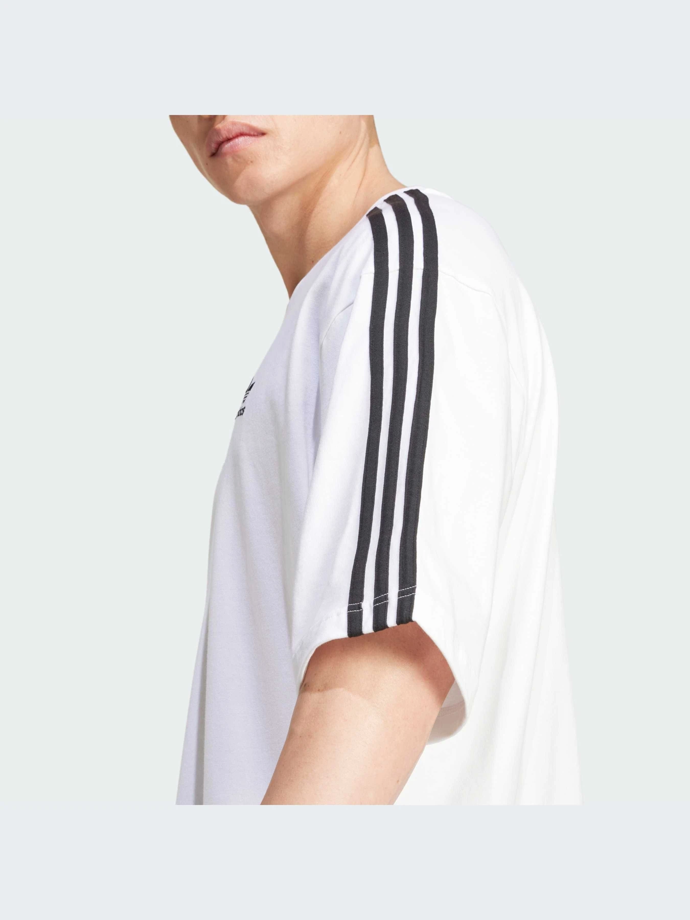 Футболки і поло Adidas Adicolor модель IZ2474 Футболки і поло Adidas Adicolor модель IZ2474 Фото