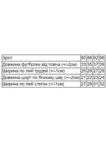 Одежда для младенцев Носи своє модель 5021-001-33-5-zajka-blakitnij-melanzh Фото