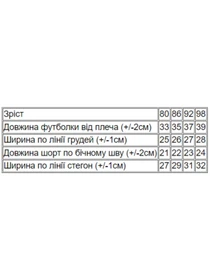 Одежда для младенцев Носи своє модель 5021-001-33-4-zajka-blakitnij-melanzh Фото
