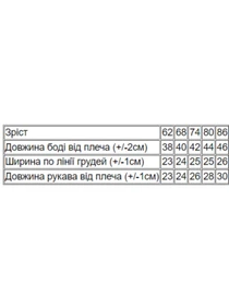 Одяг для немовлят Носи своє модель 5043-015-33-4-svtlo-bryuzovij-vedmediki Фото