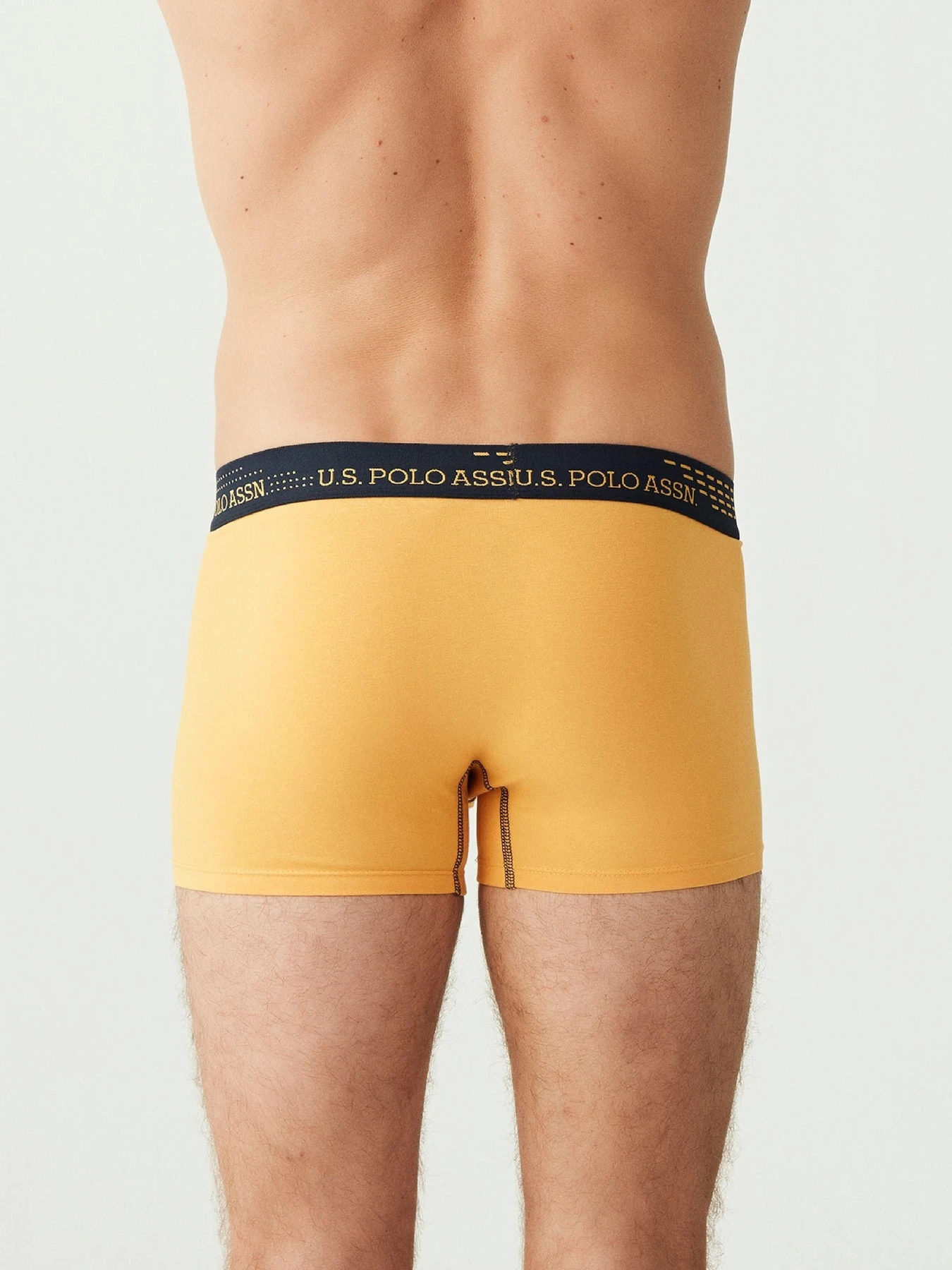Нижня білизна US Polo модель USPA.80178-1.VR024 Нижня білизна US Polo модель USPA.80178-1.VR024 Фото