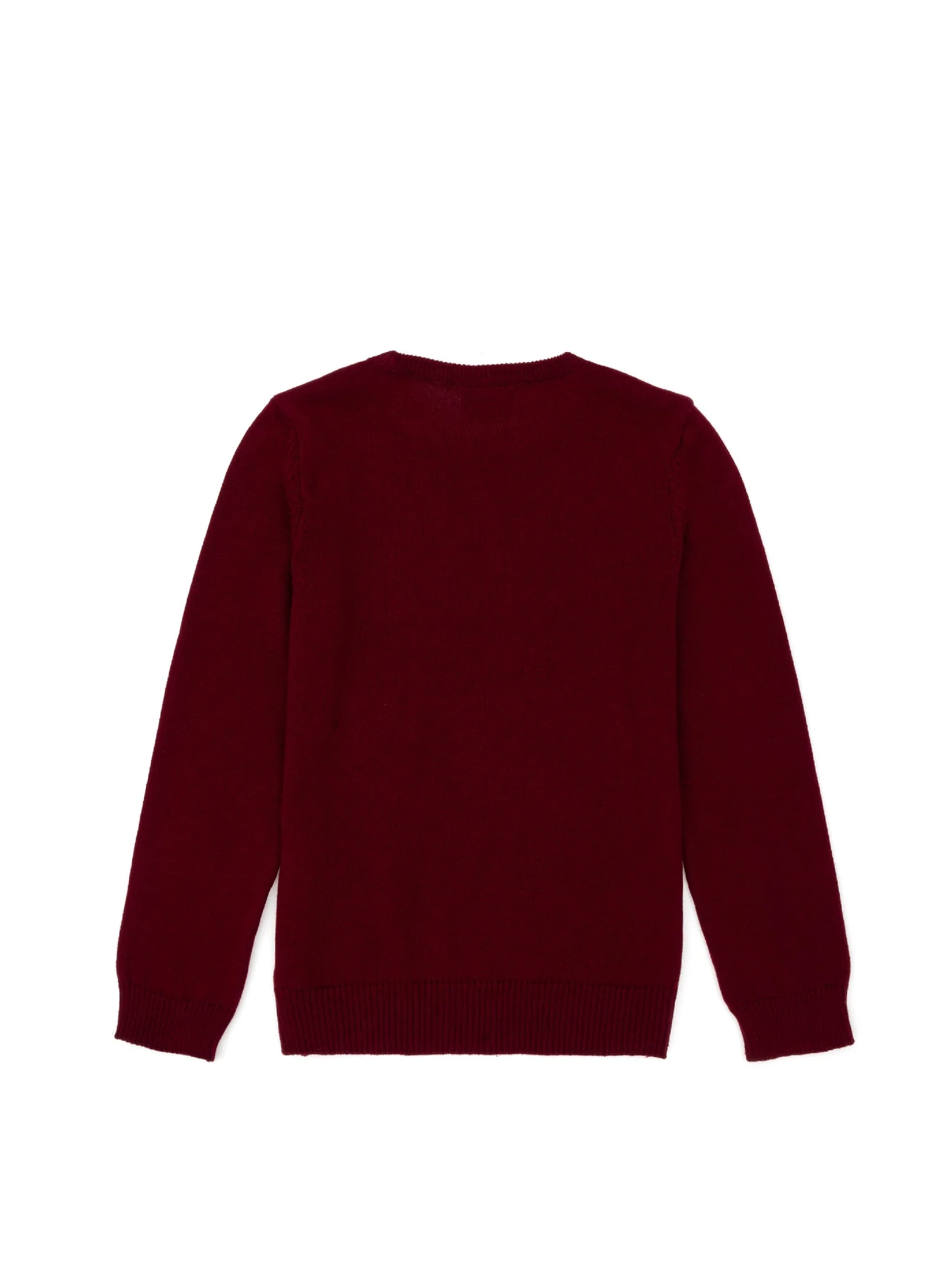 Свитры и кардиганы US Polo модель G083SZ0TK.000.1726137.VR014 Фото