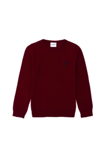 Свитры и кардиганы US Polo модель G083SZ0TK.000.1726137.VR014 Фото