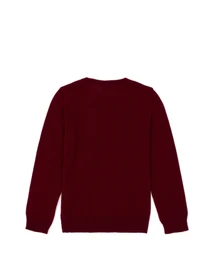 Свитры и кардиганы US Polo модель G083SZ0TK.000.1726137.VR014 Фото