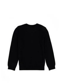Свитры и кардиганы US Polo модель G083SZ0TK.000.1726142.VR046 Фото