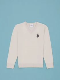 Худі та світшоти US Polo модель G084SZ0TK.000.1726148.VR071 Фото