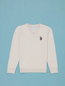 Худі та світшоти US Polo модель G084SZ0TK.000.1726148.VR071 Фото