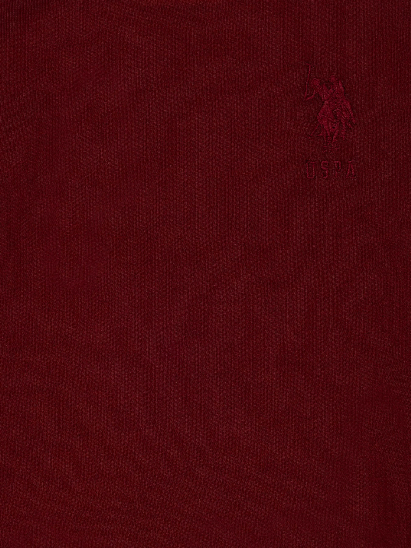 Худі та світшоти US Polo модель G083SZ082.000.1729145.VR014 Худі та світшоти US Polo модель G083SZ082.000.1729145.VR014 Фото