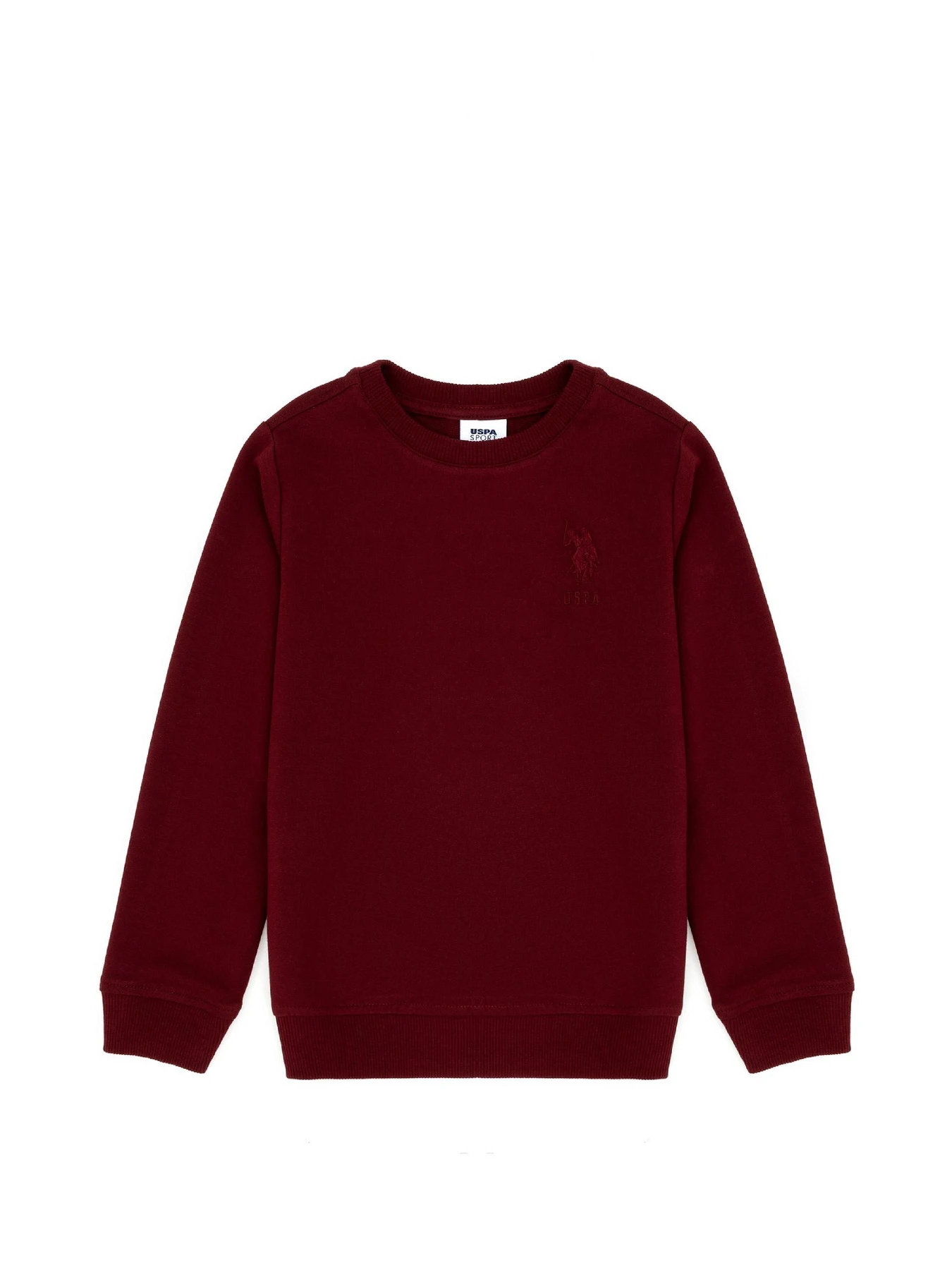 Худі та світшоти US Polo модель G083SZ082.000.1729145.VR014 Худі та світшоти US Polo модель G083SZ082.000.1729145.VR014 Фото