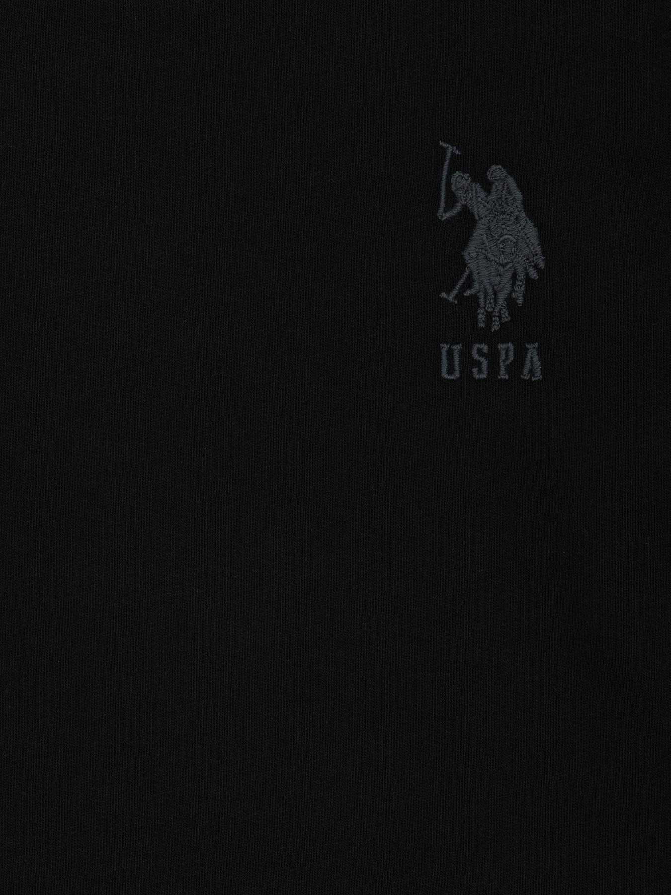 Худі та світшоти US Polo модель G083SZ082.000.1729145.VR046 Фото